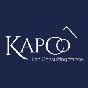 logo fin